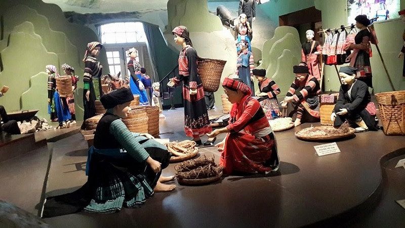 Bảo tàng văn hóa các dân tộc Việt Nam