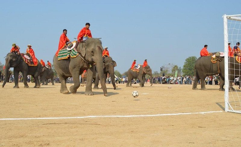 Lễ hội đua voi tranh bóng vô cùng đặc sắc của Tây Nguyên