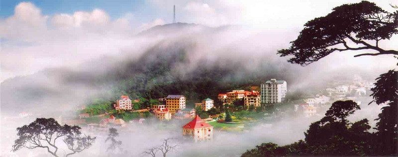 Thị trấn Tam Đảo mờ ảo trong mây mù